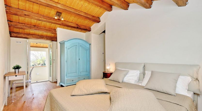 Photo of Vine Leaves on the Horizon