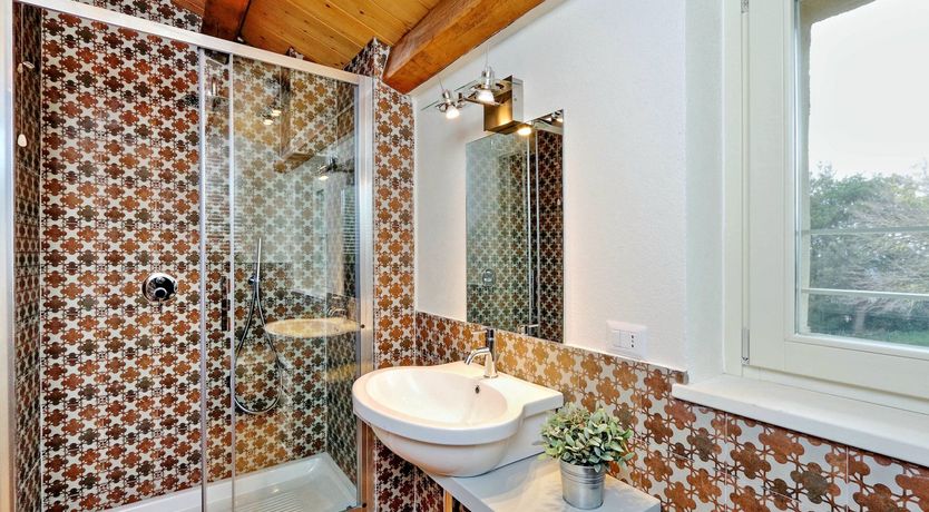 Photo of Vine Leaves on the Horizon