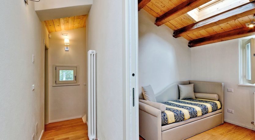 Photo of Vine Leaves on the Horizon