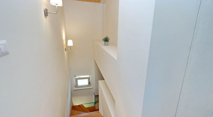 Photo of Vine Leaves on the Horizon