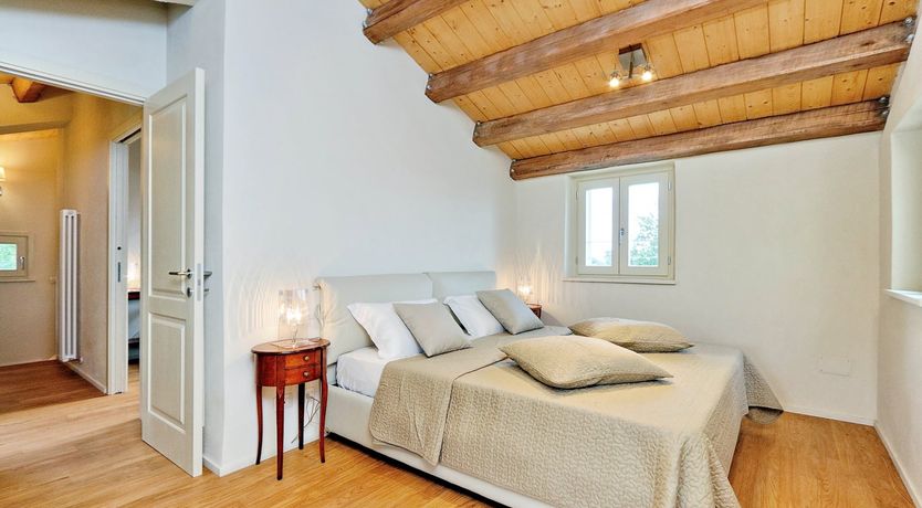 Photo of Vine Leaves on the Horizon