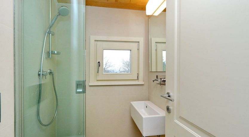 Photo of Vine Leaves on the Horizon