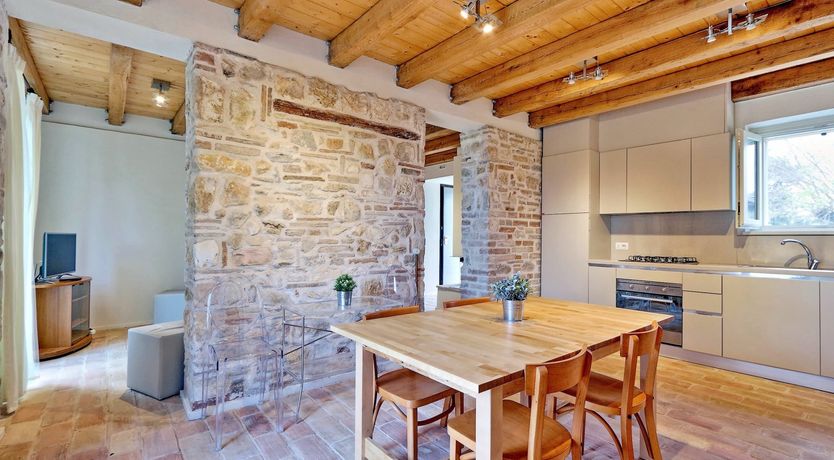 Photo of Vine Leaves on the Horizon