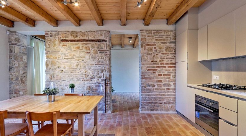 Photo of Vine Leaves on the Horizon