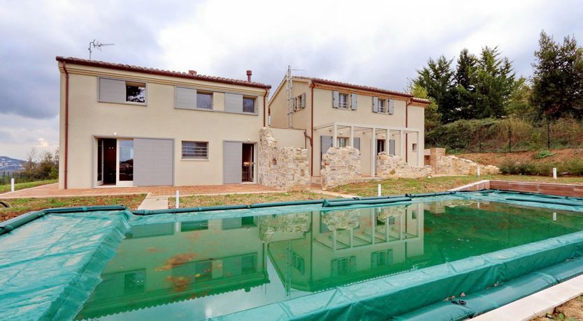 Photo of Vine Leaves on the Horizon