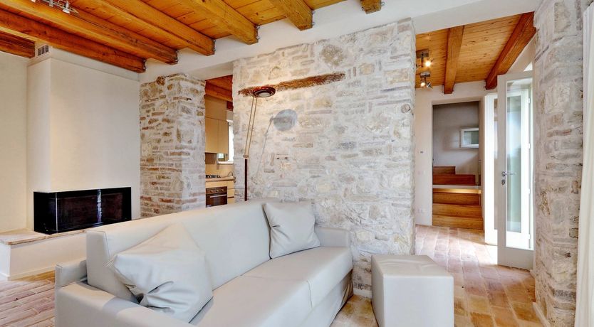 Photo of Vine Leaves on the Horizon