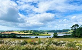 Photo of Log Cabin in South Devon