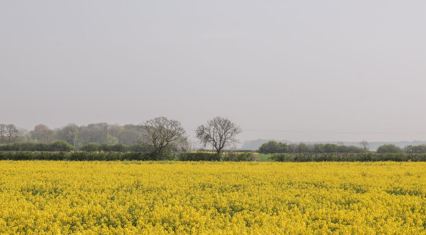 Photo of Southview Bungalow