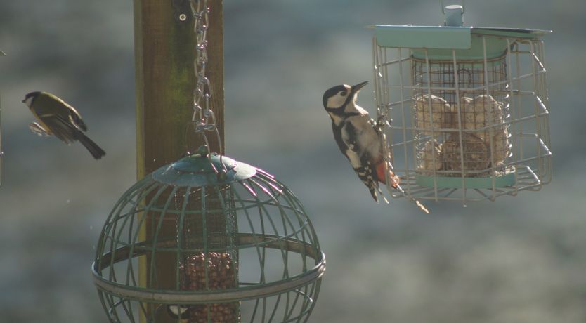 Photo of Cotswold View