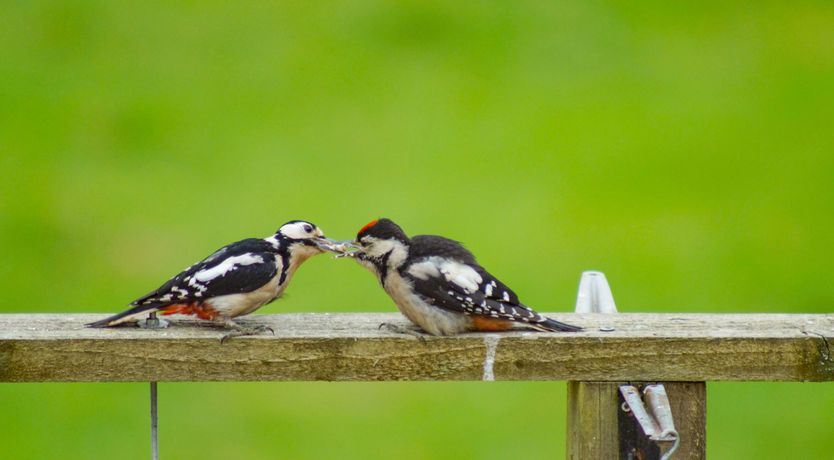 Photo of Cotswold View