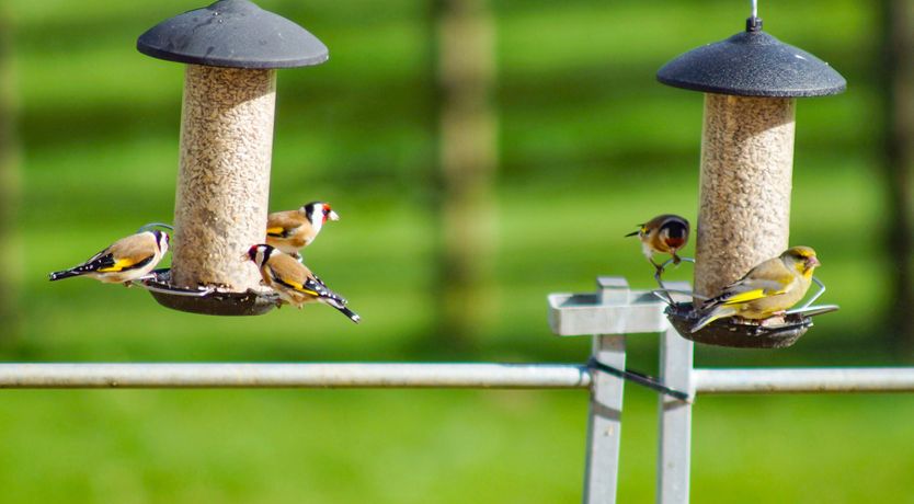 Photo of Cotswold View