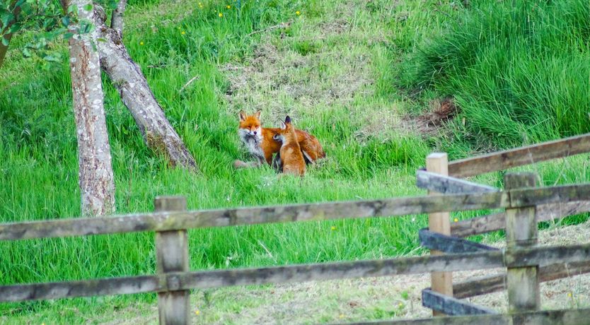 Photo of Cotswold View