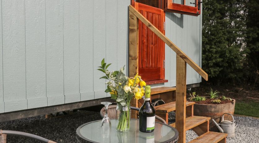 Photo of Ewes Welcome