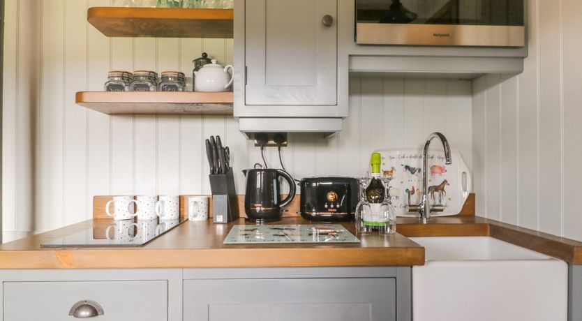 Photo of Ewes Welcome