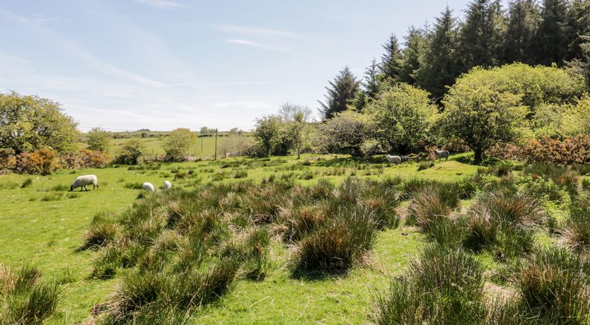 Photo of Little Trespettigue