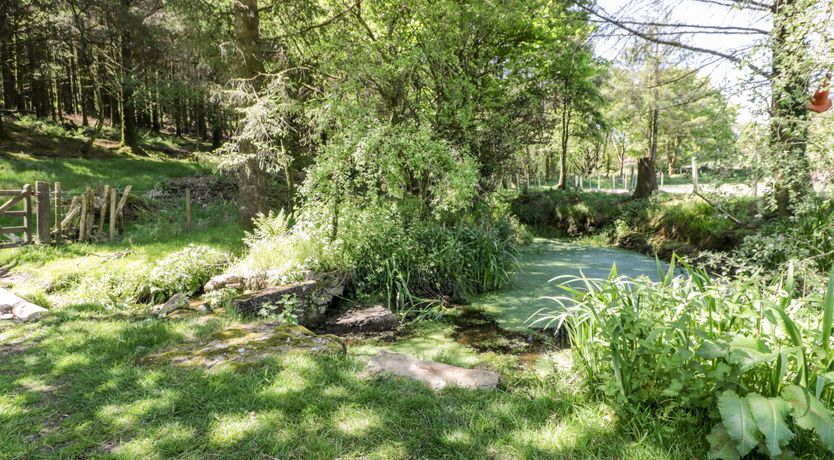 Photo of Little Trespettigue