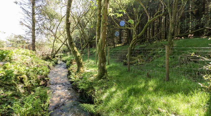 Photo of Little Trespettigue