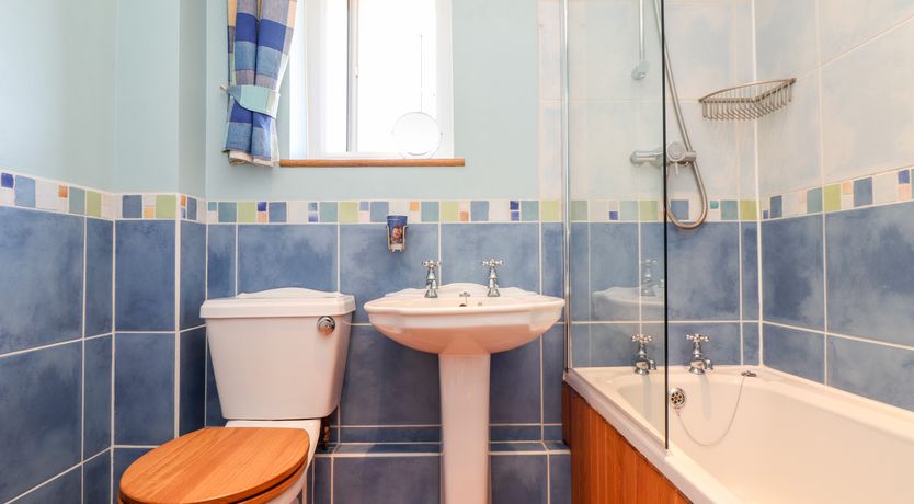 Photo of Dragonflies & Seahorses