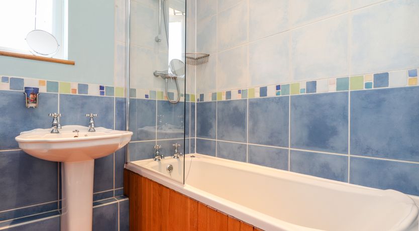 Photo of Dragonflies & Seahorses