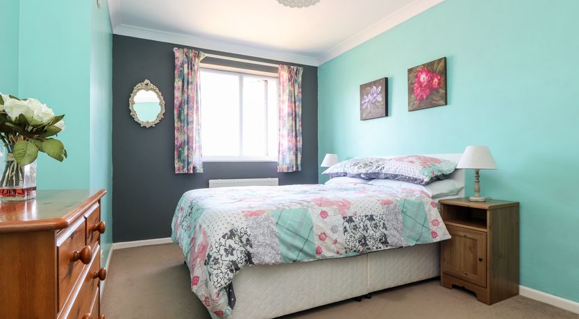 Photo of Dragonflies & Seahorses