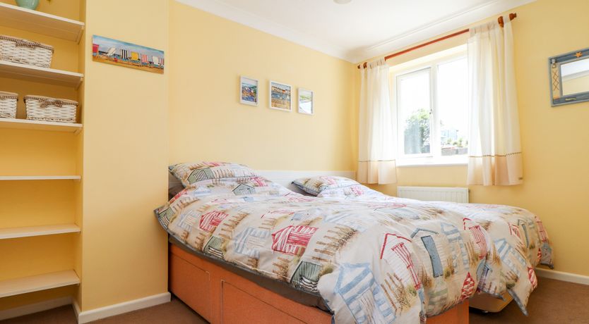 Photo of Dragonflies & Seahorses