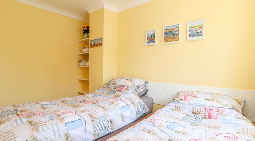 Photo of Dragonflies & Seahorses