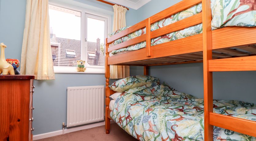 Photo of Dragonflies & Seahorses