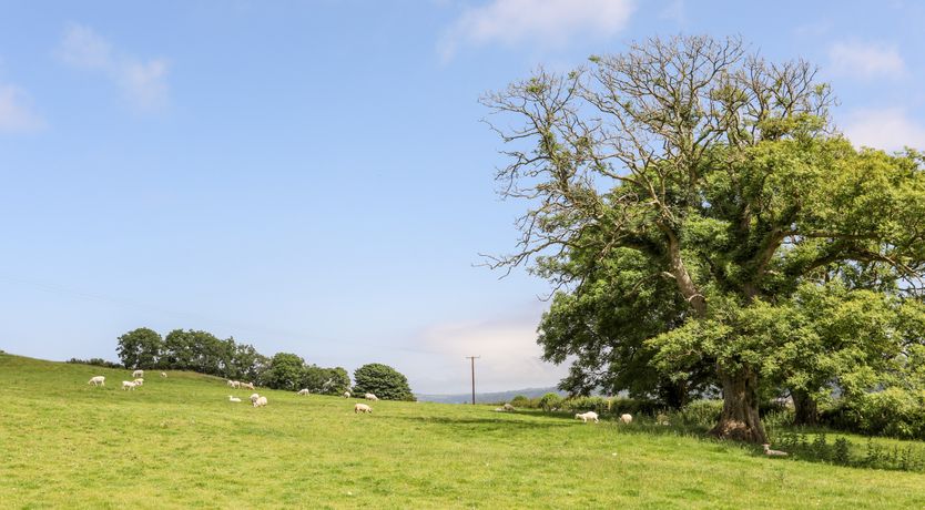 Photo of Plas y Brain