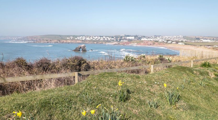 Photo of Sea Campion