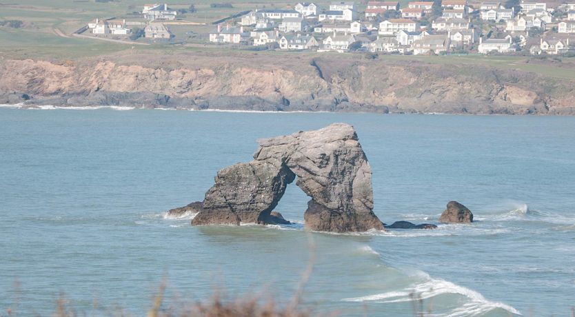 Photo of Sea Campion