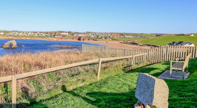 Photo of Sea Campion