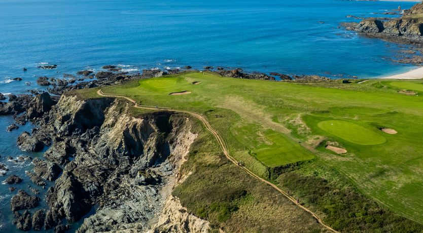 Photo of Sea Campion