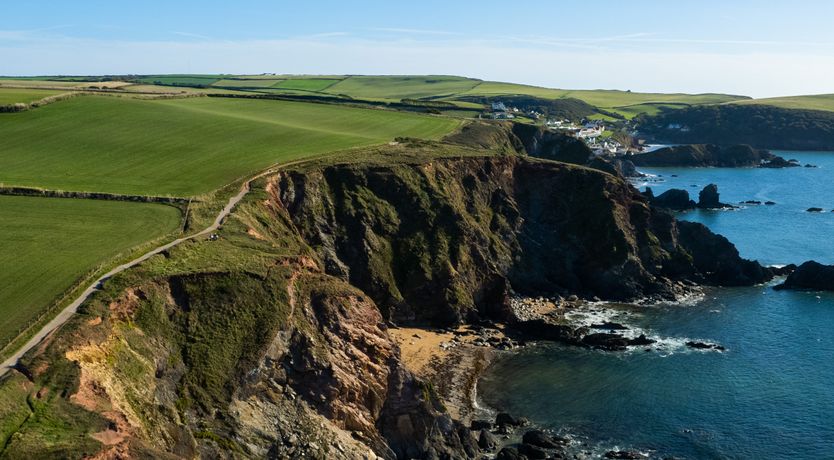 Photo of Sea Campion