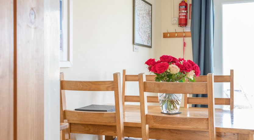 Photo of Sea Campion