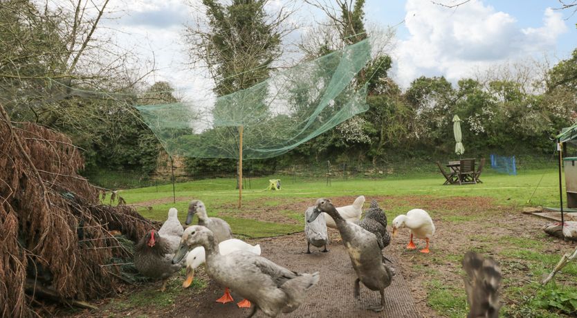 Photo of Orchard House Cottage
