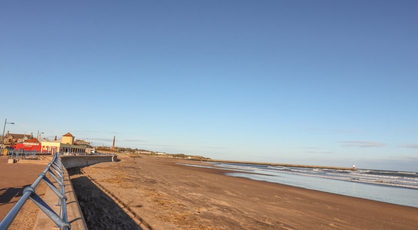 Photo of The Lazy Seal