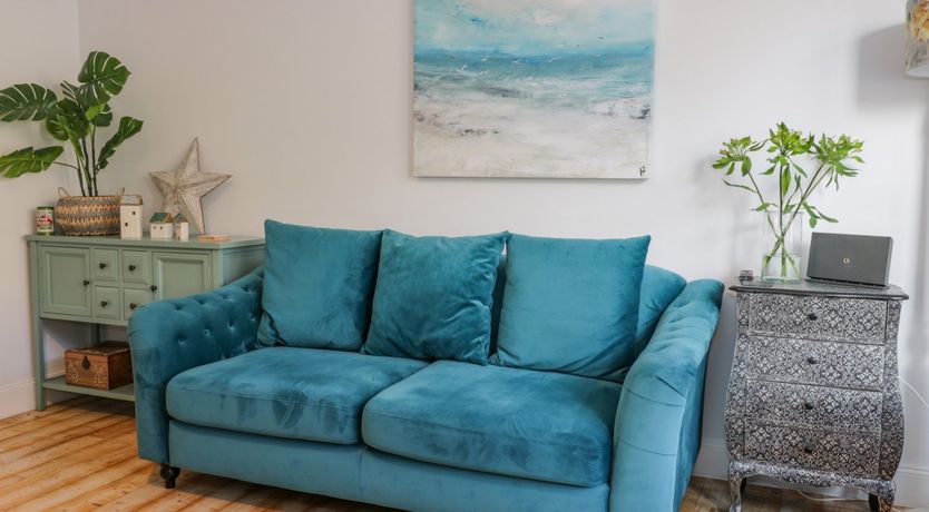 Photo of The Lazy Seal