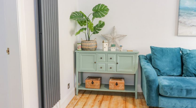 Photo of The Lazy Seal