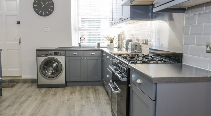 Photo of The Lazy Seal