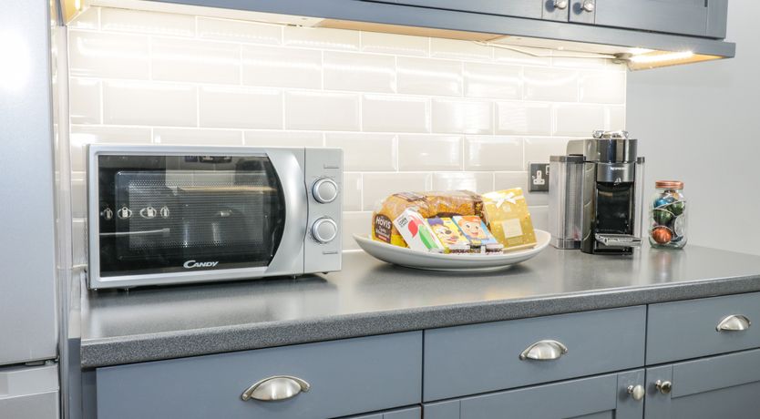 Photo of The Lazy Seal