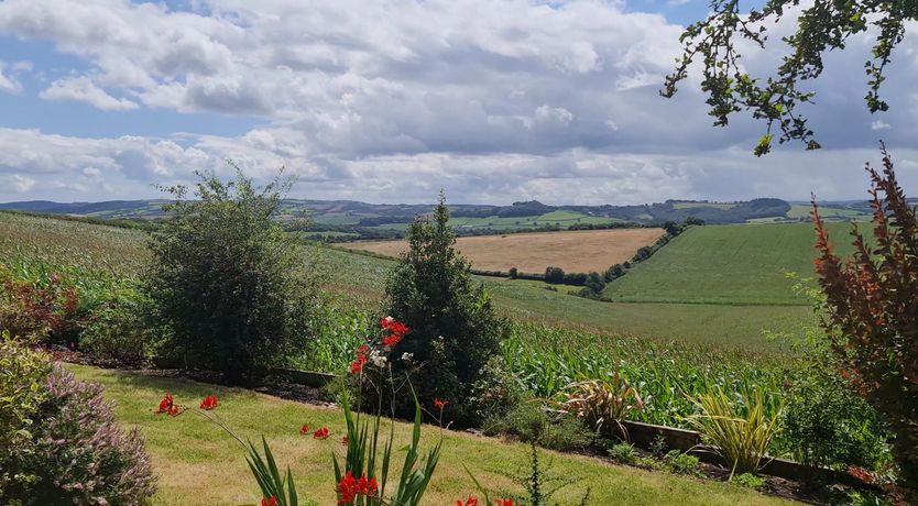 Photo of The Thatched Cottage