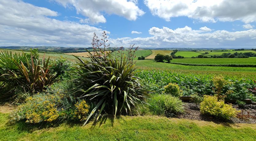 Photo of The Thatched Cottage