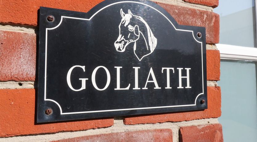 Photo of Goliath