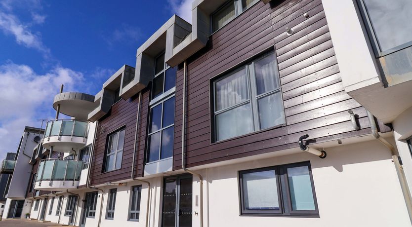 Photo of 2 Driftwood