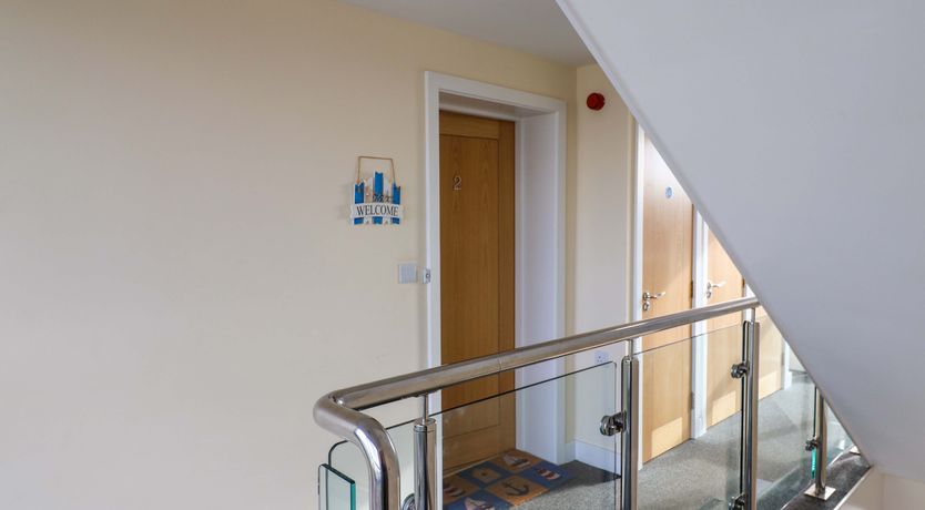 Photo of 2 Driftwood