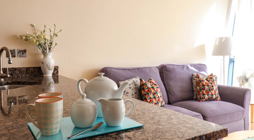 Photo of 2 Driftwood