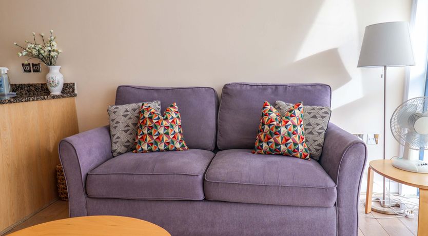 Photo of 2 Driftwood