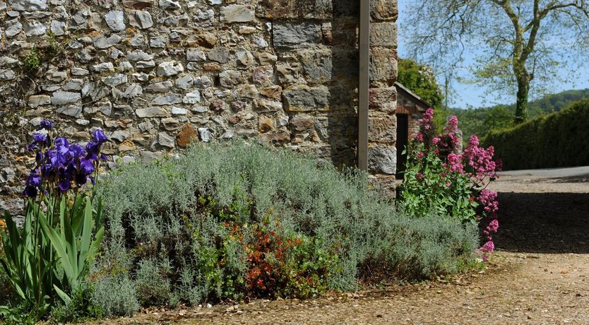 Photo of Vine Cottage