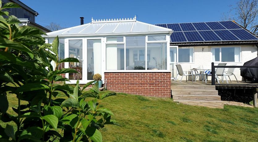 Photo of Dolphins Leap