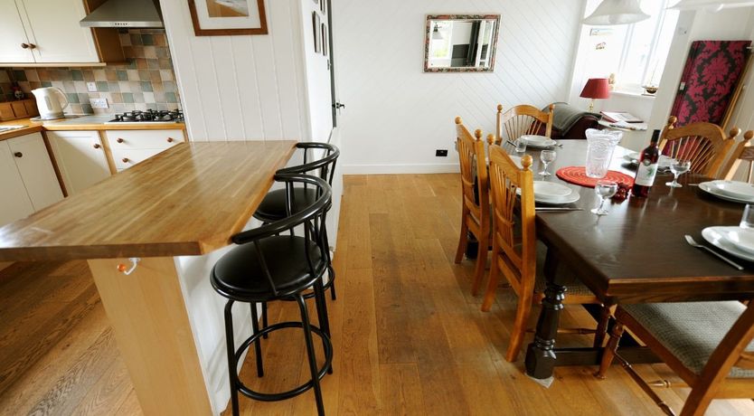 Photo of Dolphins Leap